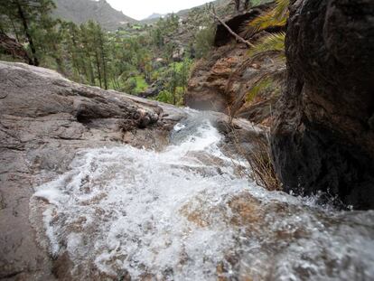 Uno de los torrentes que alimentan estos días la presa de Soria, el mayor embalse de Gran Canaria, situado en la vertiente suroeste. 