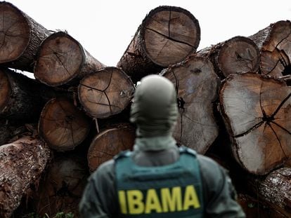 agente ambiental durante una redada contra la tala ilegal en Placas, en el estado de Pará, Brasil, el 20 de enero 2023