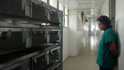 Una investigadora observa las instalaciones del bioterio de la Universidad Central de Venezuela, completamente abandonado.