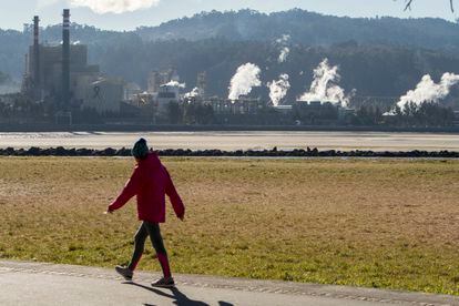 Una mujer pasea junto a la fábrica de Ence en Pontevedra.