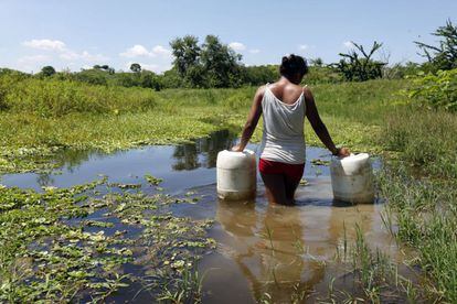 El único lugar del que durante años han podido obtener agua los habitantes de El Salado es de un estanque donde bebían los animales.