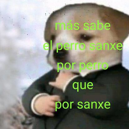 El meme que se ha hecho viral en redes sociales durante las elecciones municipales.