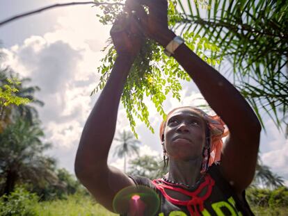 Una cooperativa de mujeres en Guinea ayuda a las agricultoras a tener más ingresos.