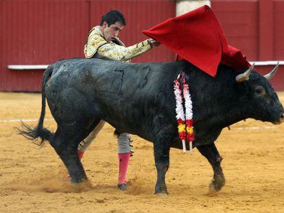 El torero Javier Casta&ntilde;o durante su segundo toro en la corrida de toros de la Feria de Agosto, en la Plaza de Toros de La Malagueta.
 