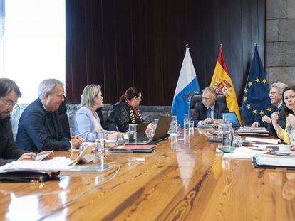 Reunión del Consejo de Gobierno de Canarias, presidido por Ángel Víctor Torres, el 16 de febrero.