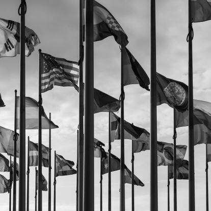 Flags of different nations on high flagpoles