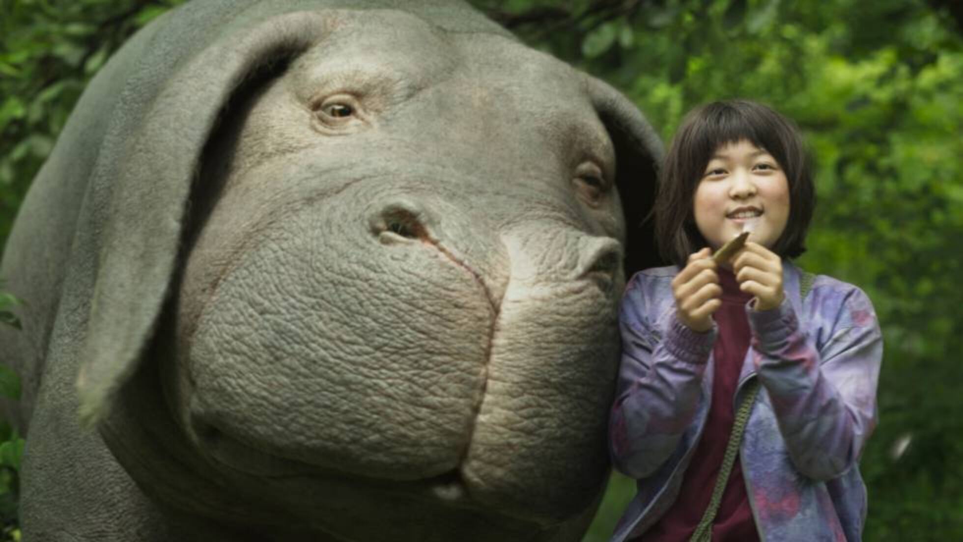Okja Un Cerdo Para Salvar El Planeta Television El Pais