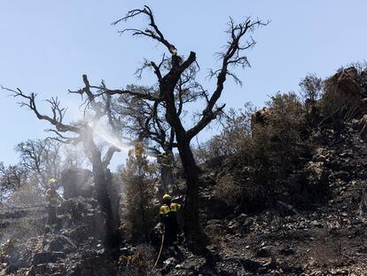 Destrozos provocados por el incendio en el pueblo de Colera (Girona), el 5 de agosto.