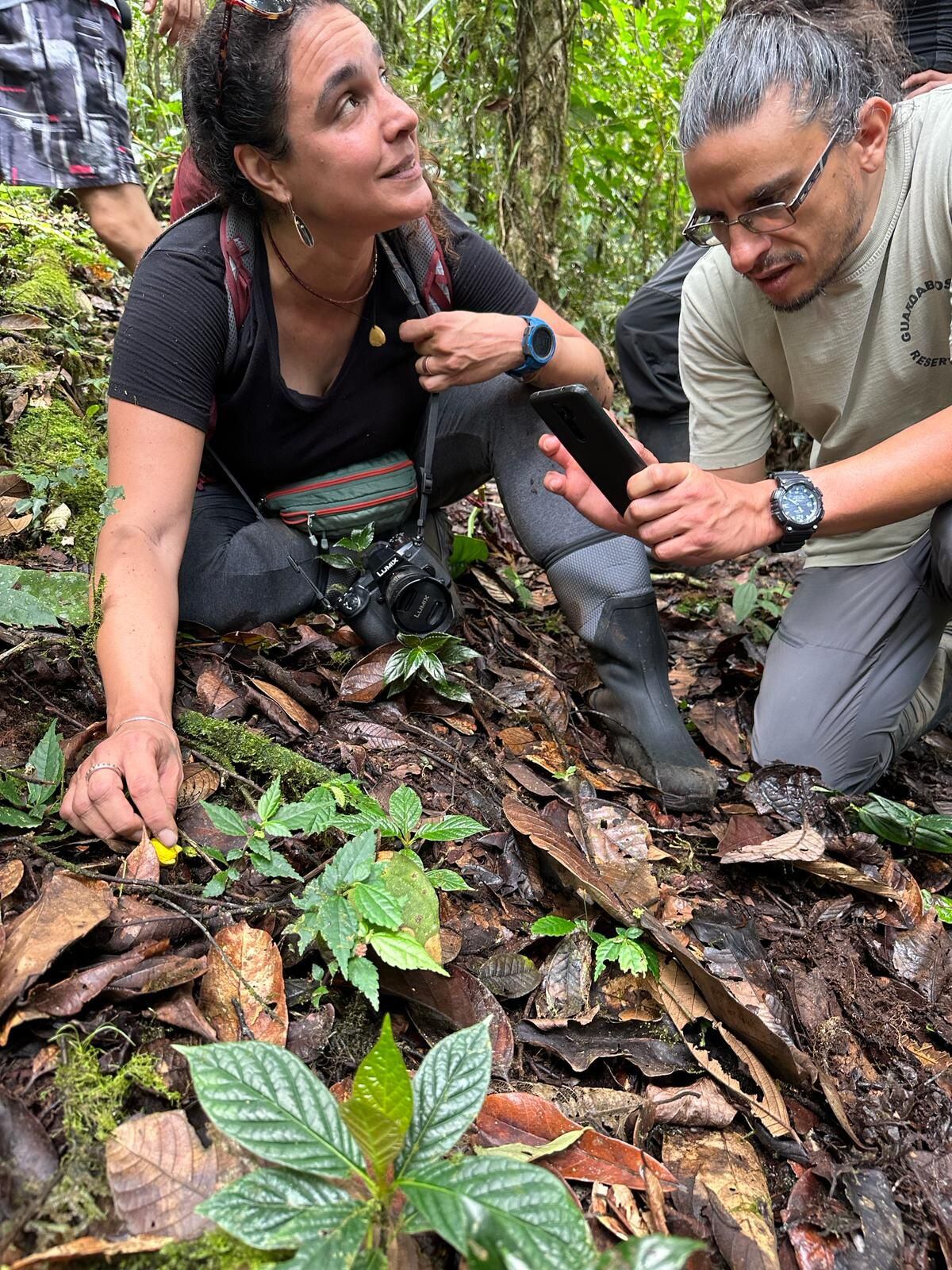 Dos investigadores analizan un hongo, durante una expedición a través del Bosque Protector Los Cedros.