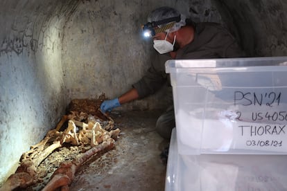 Llorenç Alapont, arqueólogo e investigador de la Universidad de Valencia, cataloga los restos de Marcus Venerius.