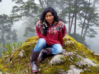 La defensora del medio ambiente oaxaqueña Irma Galindo, en una imagen de sus redes sociales.