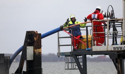 Dos trabajadores despliegan un cable submarino de fibra óptica entre las islas alemanas de Rügen y Hiddensee en febrero del pasado año.