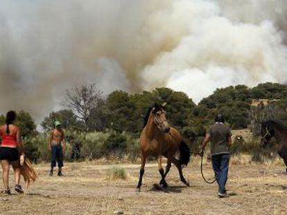 Los vecinos intentan domar a un par de caballos asustados por las llamas.