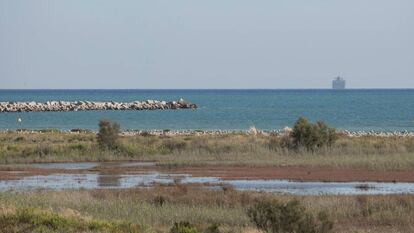 El Delta del LLobregat