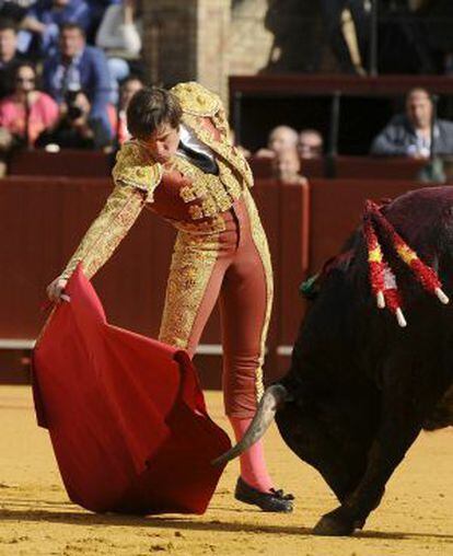 Dávila Miura, ante su primer toro en la plaza de la Maestranza.