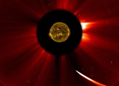 Imagen de la aproximaci&oacute;n del cometa Ison (abajo, a la izquierda) al Sol tomada con el telescopio espacial &lsquo;SOHO&rsquo; hoy a las 16.51 (hora peninsular) y combinada con una foto del Sol, en el centro, del telescopio &lsquo;SDO&rsquo;.