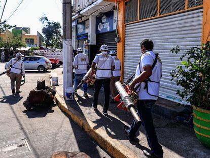 Trabajadores participan en una jornada de fumigación en zonas propensas a la proliferación de los mosquitos transmisores del dengue en Acapulco (México).