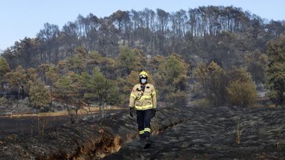 Un bombero estudia el terreno en Santa Coloma de Queralt (Tarragona), donde un incendió devastó en verano de 2021 más de 1.500 hectáreas.