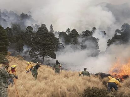 Brigadistas combaten el incendio forestal en el Parque Nacional Iztaccíhuatl-Popocatépetl, en el municipio de Amecameca, el 16 de marzo de 2024.