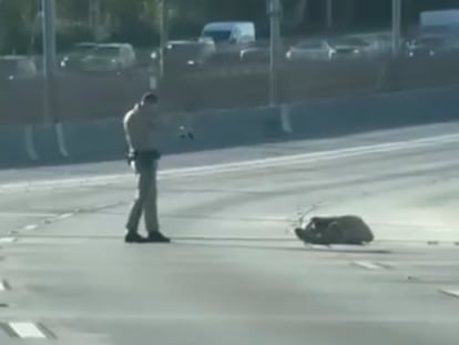 Un cuadro del vídeo en el que un agente de la policía de Los Ángeles (California) dispara a Dominguez, el 19 de noviembre.