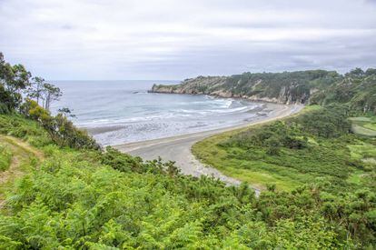 Quien se acerca a Barayo desde Navia accede a uno de los aparcamientos con la visión más sublime de la costa cantábrica: salinas, marismas, dunas, hierbas y cañaverales, pinos y eucaliptos en el acantilado. ¡Que alguien coloque un escaparate ya!