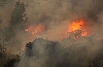 Houses burn amid the spread of wildfires in Vina del Mar, Chile February 3, 2024. REUTERS/Rodrigo Garrido