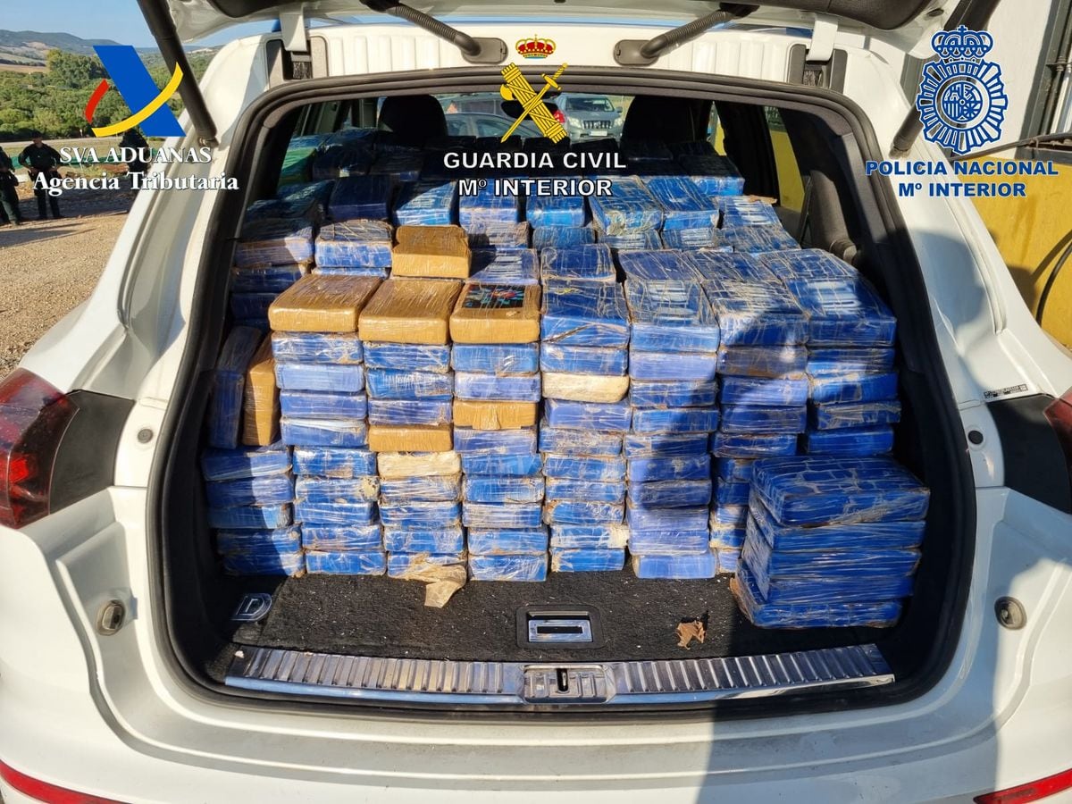 El sarcófago que viajó desde Costa Rica a Málaga relleno de 720 kilos de cocaína