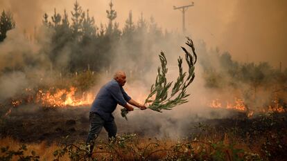 Bomberos y habitantes trabajan en apagar un incendio en Santa Juana (Chile).