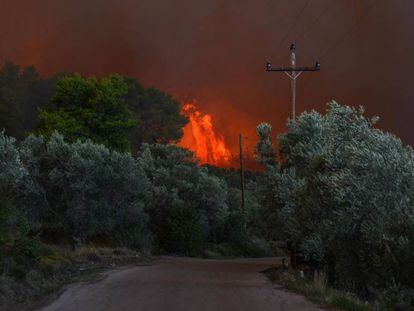 Vista del fuego en una zona forestal de Psachna, en la isla griega de Eubea, este domingo.
