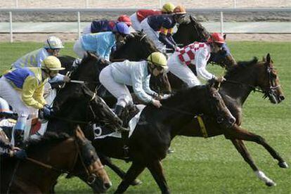 Un momento de una de las carreras de caballos de ayer en el hipódromo madrileño de la Zarzuela.