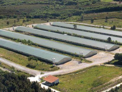 Instalaciones de Coren en la provincia de Ourense.