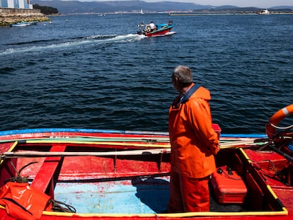 Mariscadores de la cofradia de pescadores de A Illa de Arousa, durante una jornada de trabajo en sus pequeñas embarcaciones, con las que marisquean próximos a la costa.