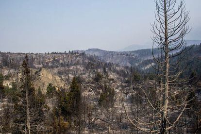 Vista de una zona arrasada por el fuego en Chubut