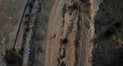 A man walks through the green corridor created in the area affected by the Aznalcóllar spill 21 years ago.  The image reflects an area with reborn vegetation and another where nothing has grown in these years due to latent contamination.
