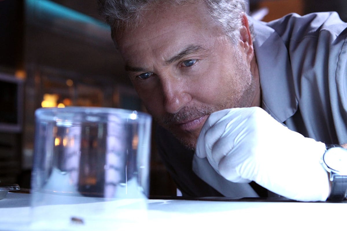 ‘CSI Las Vegas’ volverá con su protagonista original, Grissom