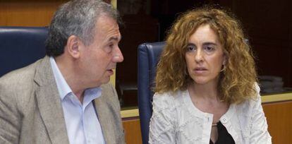 La presidenta de Eudel, Ibone Bengoetxea, este miércoles en el Parlamento vasco.