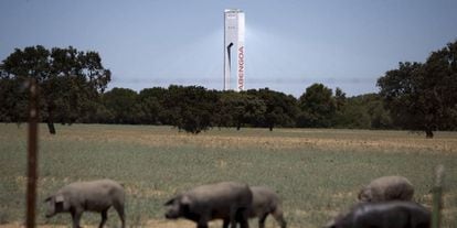 Planta solar de Abengoa en Sanlúcar la Mayor (Sevilla).