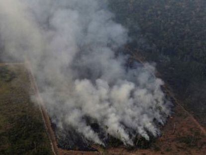 Los científicos señalan que los múltiples incendios de este verano no son una excepción y que aún es pronto para hablar de récord