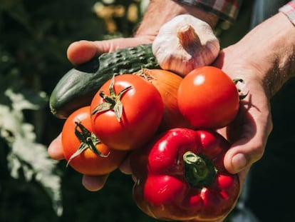 La receta del gazpacho más vendido en España