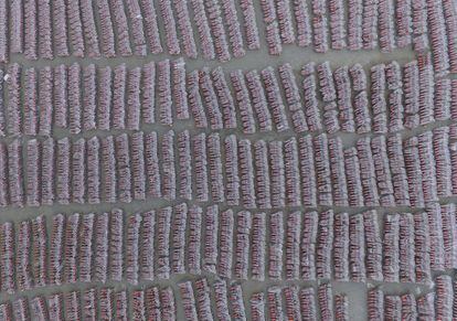 Vista aérea de alrededor de 10.000 bicicletas públicas en Guangzhou (China).