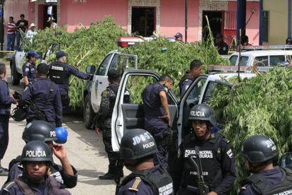Polic&iacute;as hondure&ntilde;os custodiando plantas de marihuana