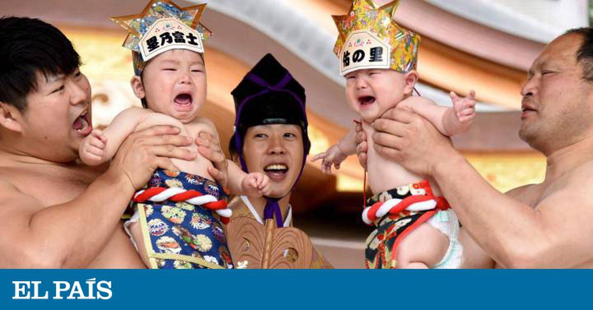 La Lucha Sagrada Entre Bebes Sumo Que Hace Las Delicias De Los Padres Japoneses Mundo Global El Pais