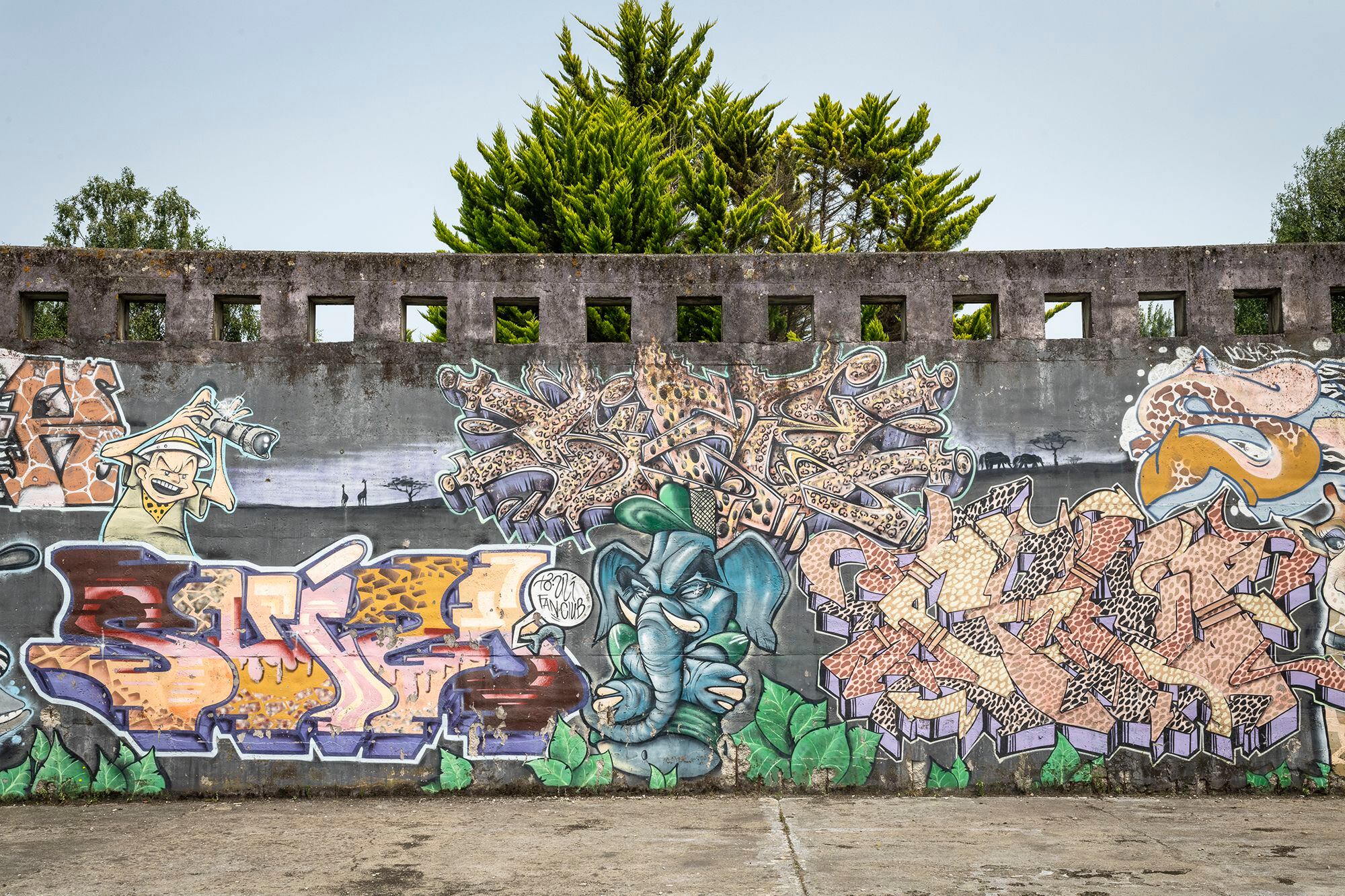 Murales en Betanzos (A Coruña), frente al parque del Pasatiempo. 
