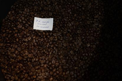 Granos de café cultivado, cosechado y tostado en el Estado de Veracruz. 