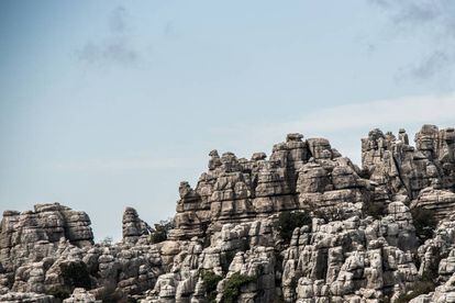 Hace 200 millones, el actual paraje natural de El Torcal, en Antequera, provincia de Málaga, era lecho marino. Hoy es un impresionante paisaje kárstico, patrimonio mundial, modelado por el viento, el hielo y el agua. Existen itinerarios guiados temáticos para conocerlo mejor, como por la ruta de los ammonites (fósiles marinos, algunos de gran tamaño), la del laberinto kárstico o la del patrimonio. Y una cuarta propuesta, bajo la luna llena, para vivir su halo de misterio.