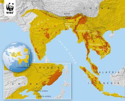 Mapa elaborado por WWF de las zonas en las que habitaban los tigres y los reductos actuales de esta especie en peligro de extinción (áreas más oscuras).