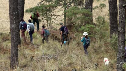 Senderistas recorren el Llano de los Conejos, en Morelos.