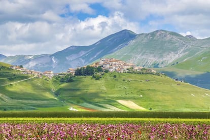 Desde mediados de mayo hasta comienzos de julio, los prados de la llanura de Castelluccio di Norcia, en el parque nacional de los Montes Sibilinos, se cubren de millones de amapolas, lirios, anémonas y margaritas, un espectáculo natural conocido como ‘La Fiorita’.