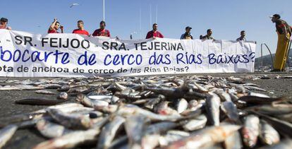 Protesta de marineros del cerco en Portos&iacute;n (A Coru&ntilde;a).