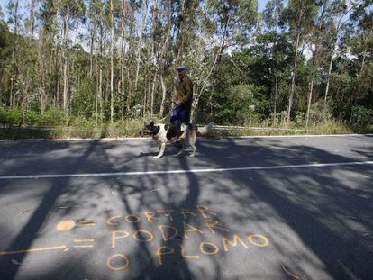 Se&ntilde;alizaciones pintadas en rojo al pie de una carretera en Cerdedo.